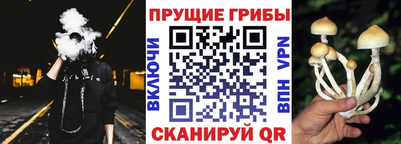 мега как зайти  Орск  Псилоцибиновые грибы мухоморы 