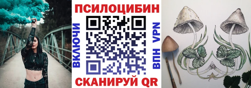Псилоцибиновые грибы GOLDEN TEACHER Орск